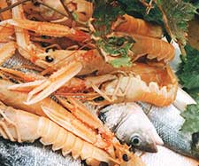 Riviera Okrug-Trogir gastronomy - Shrimp